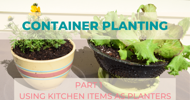 Container Planting – Using Kitchen Items as Your Planter