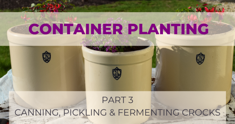 Container Planting – Canning, Pickling and Fermenting Crocks