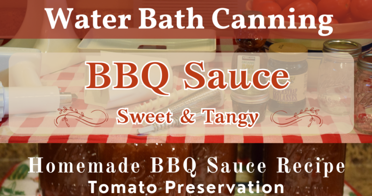 Sweet & Tangy BBQ Sauce Recipe | How to Can Homemade BBQ Sauce