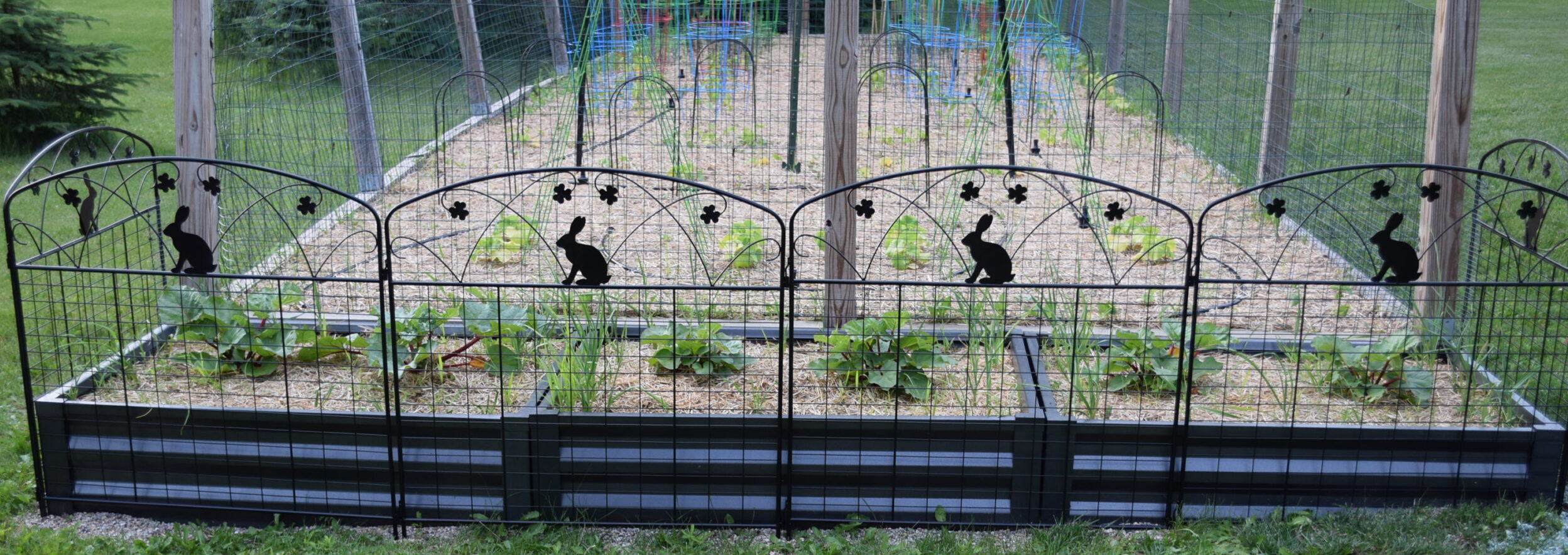 Raised Garden Beds with Rabbit Guard Panels