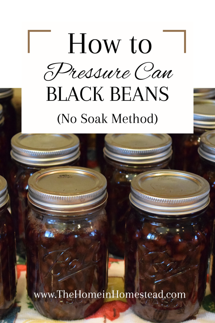 Homemade Pressure Canned Black Beans (No Soak Method)