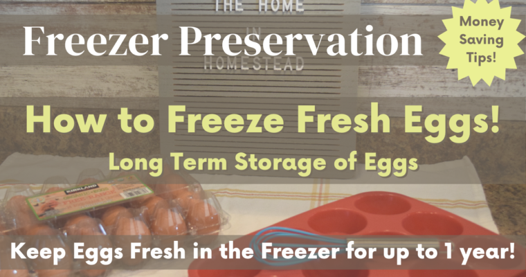 How to Freeze Fresh Eggs | Egg Preservation | Keep Eggs Fresh in the Freezer!