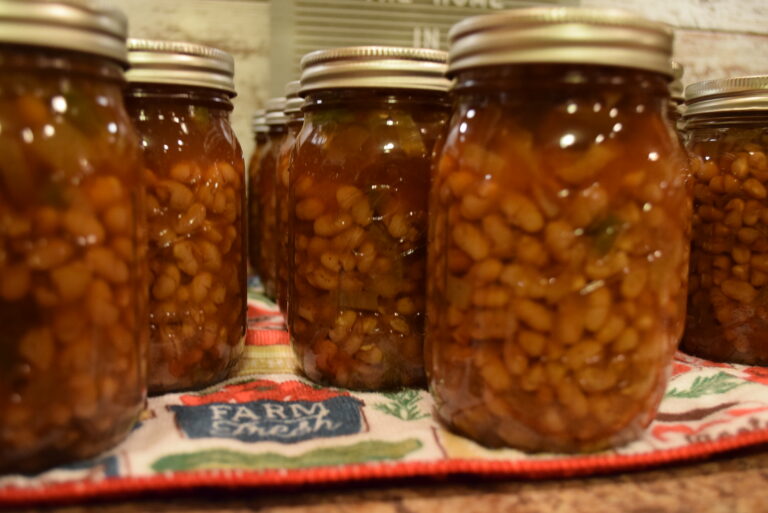 Baked Beans Recipe How to Pressure Can Homemade Baked Beans The