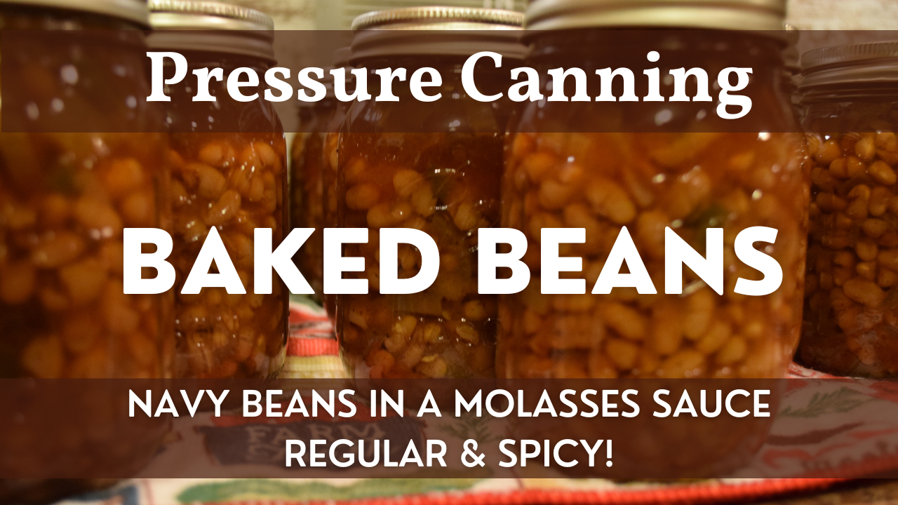 Baked Beans Recipe | How to Pressure Can Homemade Baked Beans