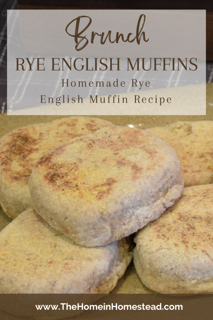 Homemade Rye English Muffins Recipe