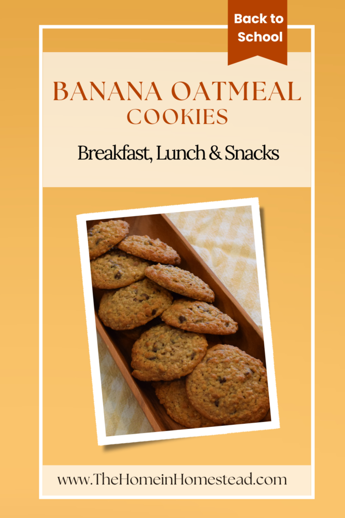 Homemade Banana Oatmeal Cookies Recipe