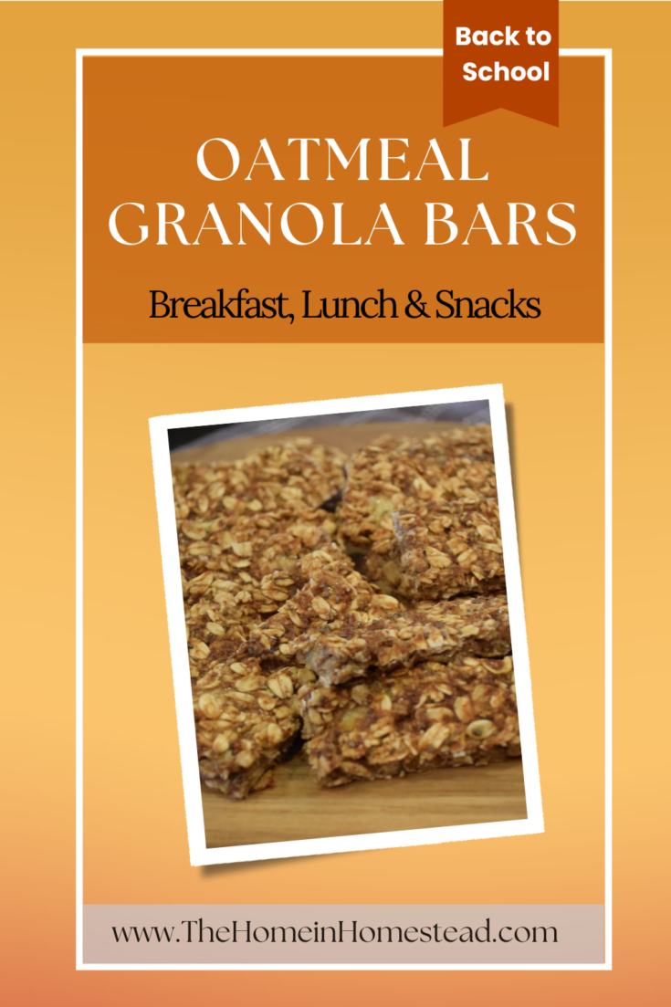 Homemade Oatmeal Granola Bars (No Egg Recipe)