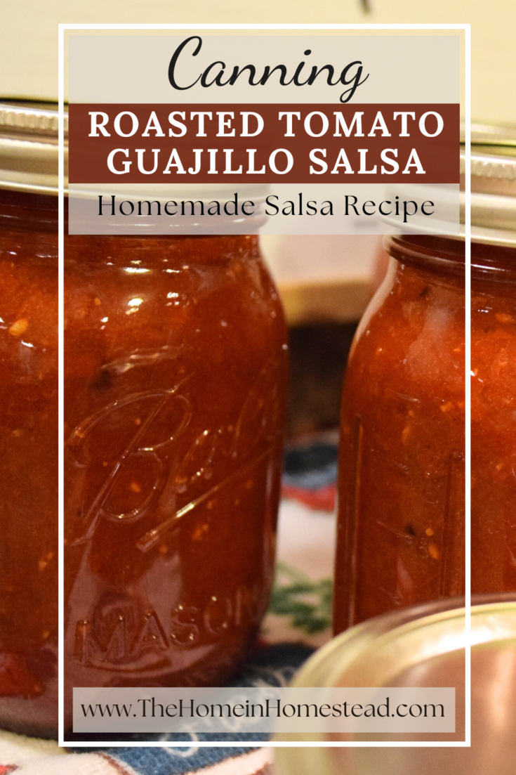 Roasted Tomato Guajillo Salsa Recipe