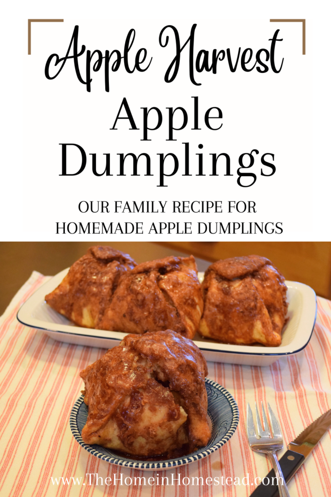 Homemade Apple Dumplings Family Recipe