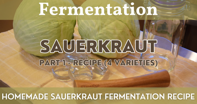 Homemade Sauerkraut Part 1 – Recipe | Fermentation Project
