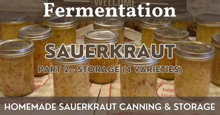 Homemade Sauerkraut Part 2 – Canning | Fermentation Project