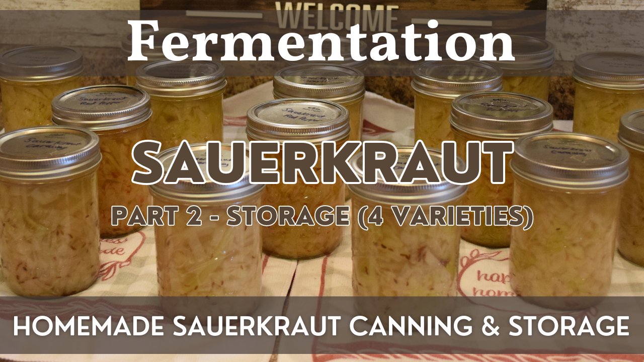 Homemade Sauerkraut Part 2 – Canning | Fermentation Project