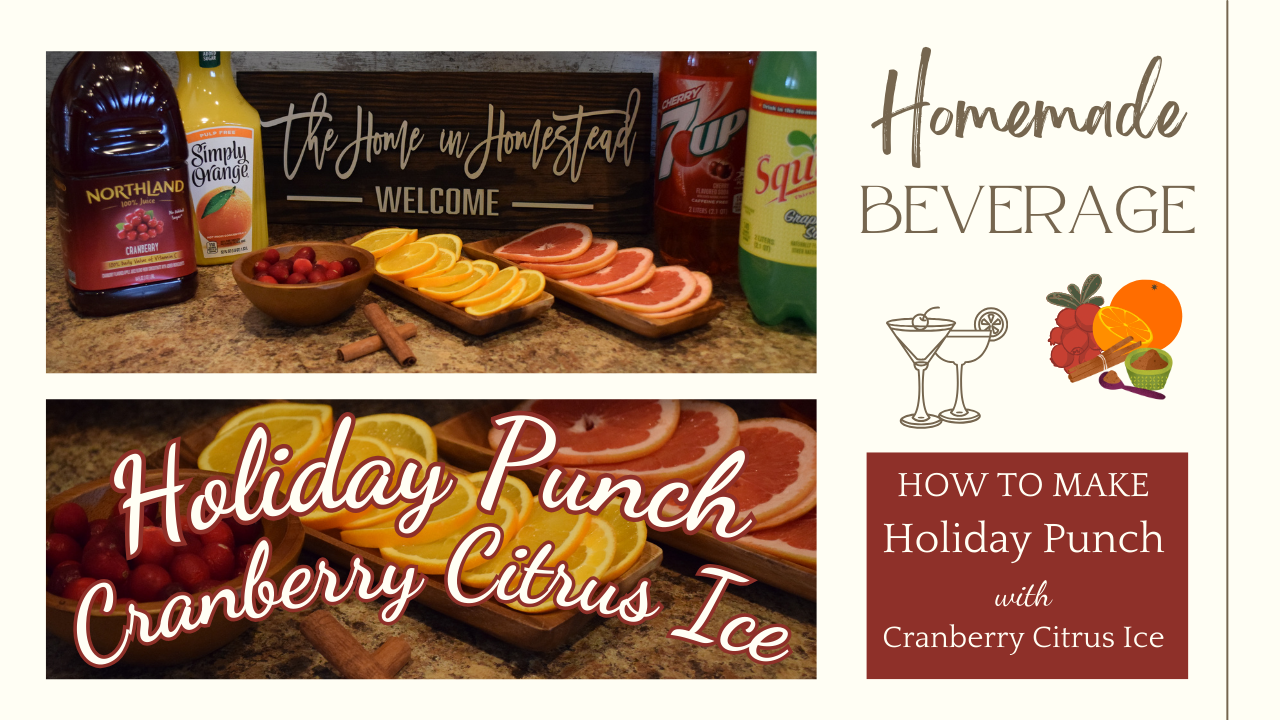 Holiday Punch with Cranberry Citrus Ice Recipe | A Great Non-Alcoholic Beverage for the Holidays & Gatherings
