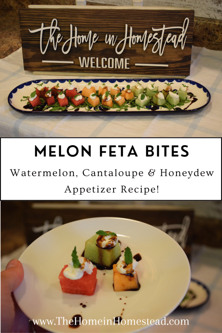 Melon Feta Bites Appetizer Recipe