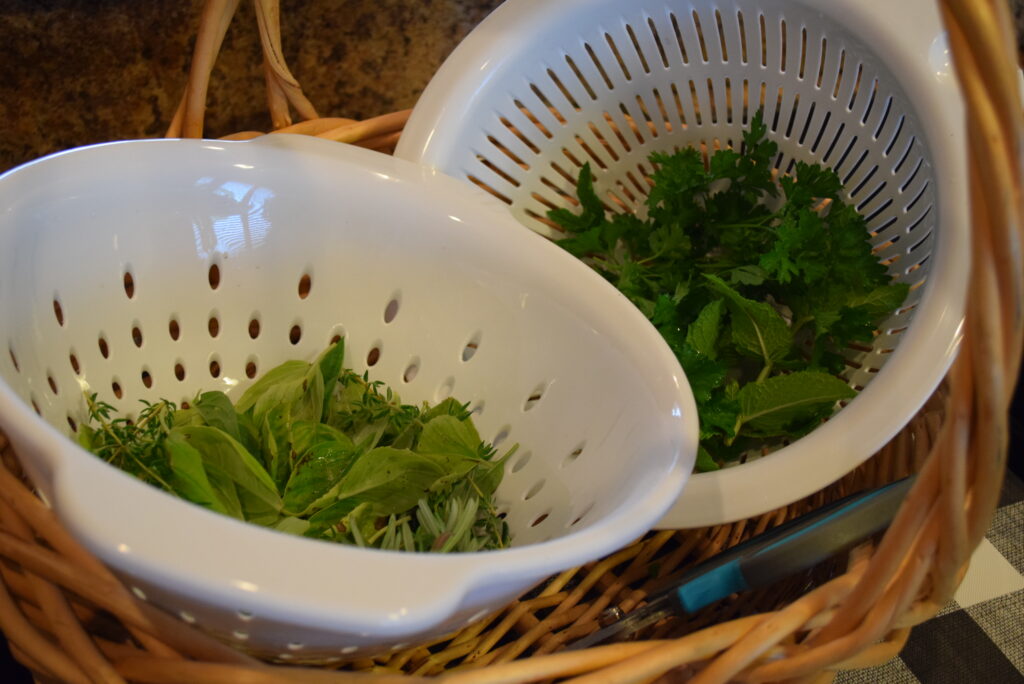 Fresh Herbs from the Garden for Tomato Rhubarb Soup / Tomato Gazpacho Recipe