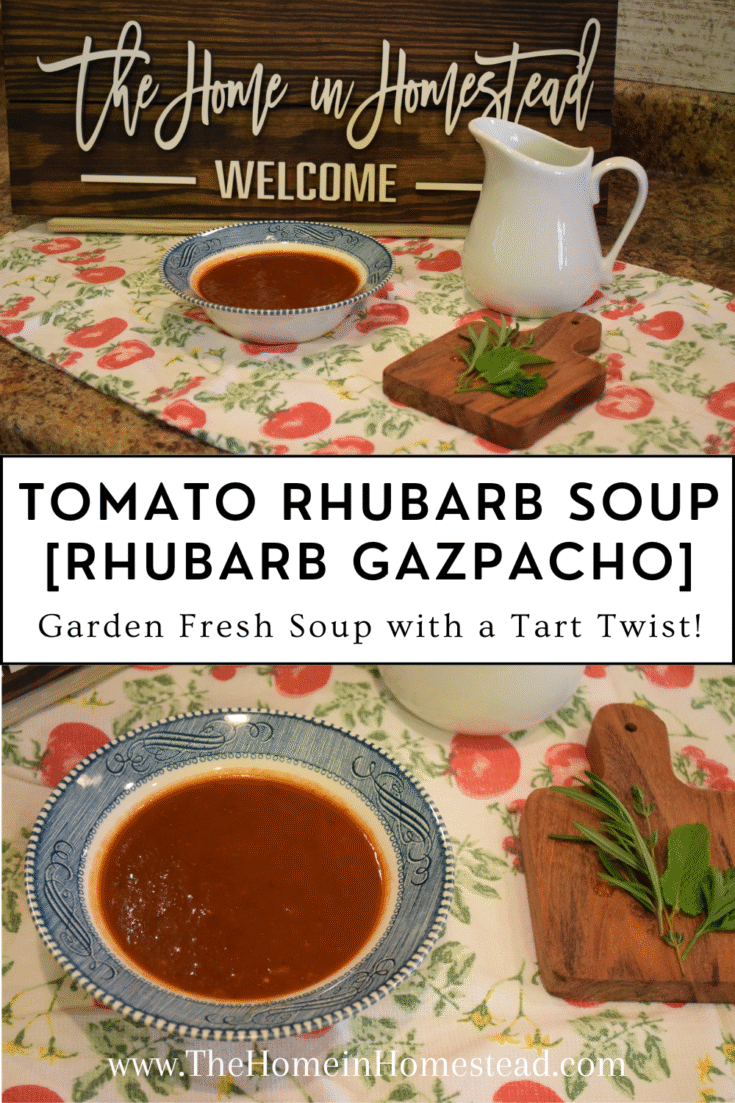Tomato Rhubarb Soup / Tomato Gazpacho Recipe