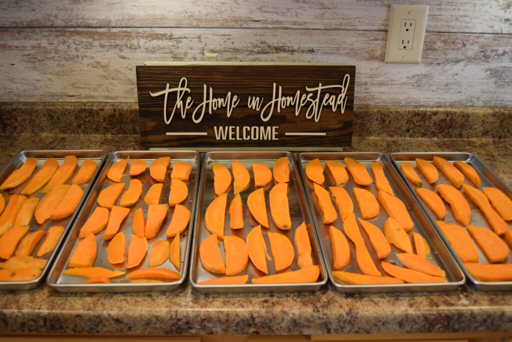 Freeze Dried Dog Treats - Blanched Sweet Potato Slices on Freeze Drying Trays