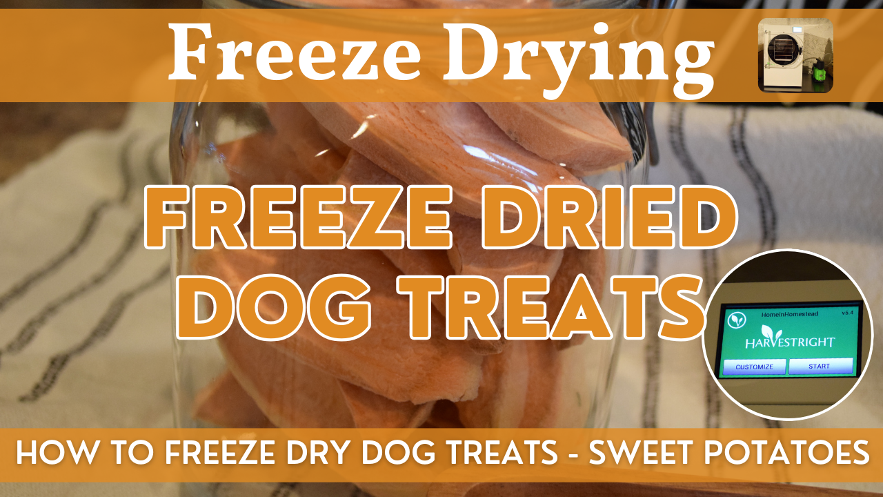 Freeze Dried Dog Treats | Harvest Right Freeze-Dried Vegetables | How to Freeze Dry Sweet Potato