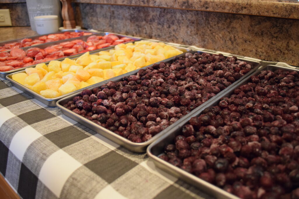 Frozen Fruit on Freeze Dryer Trays for Freeze Dried Fruit Powder