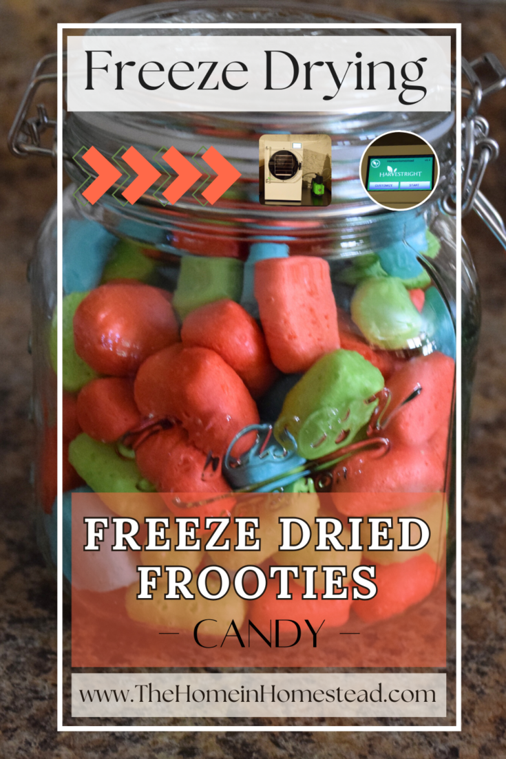 How to Freeze Dried Tootsie Frooties Candy