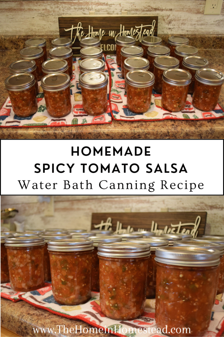 Spicy Tomato Salsa Recipe - in Canning Jars from Home Grown Tomatoes & Jalapeno Peppers