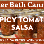 Spicy Tomato Salsa in Canning Jars from Home Grown Tomatoes & Jalapeno Peppers