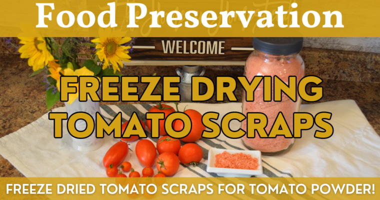 Freeze Dried Tomato Powder | Harvest Right Freeze Dryer Step by Step Guide