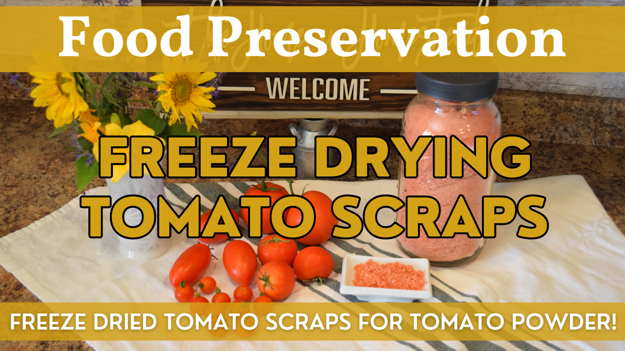 Freeze Dried Tomato Powder | Harvest Right Freeze Dryer Step by Step Guide