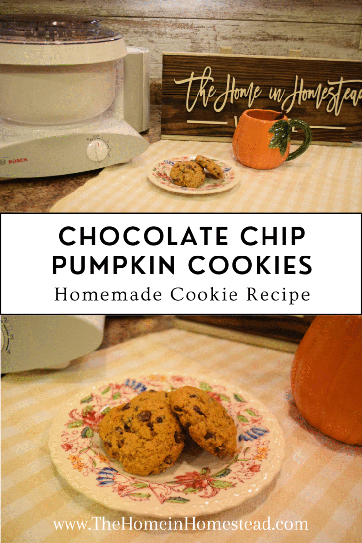Chocolate Chip Pumpkin Cookies Recipe