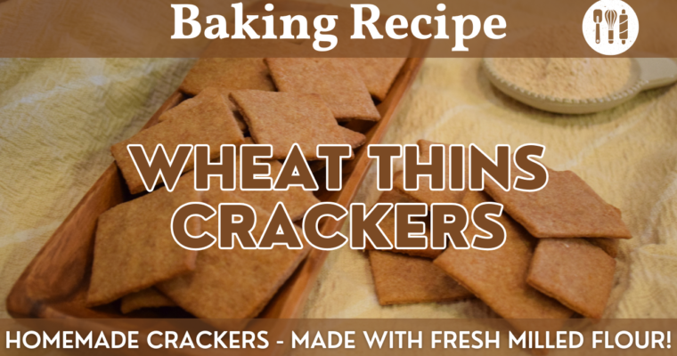 Homemade Wheat Thins Crackers – Fresh Milled Flour Recipe