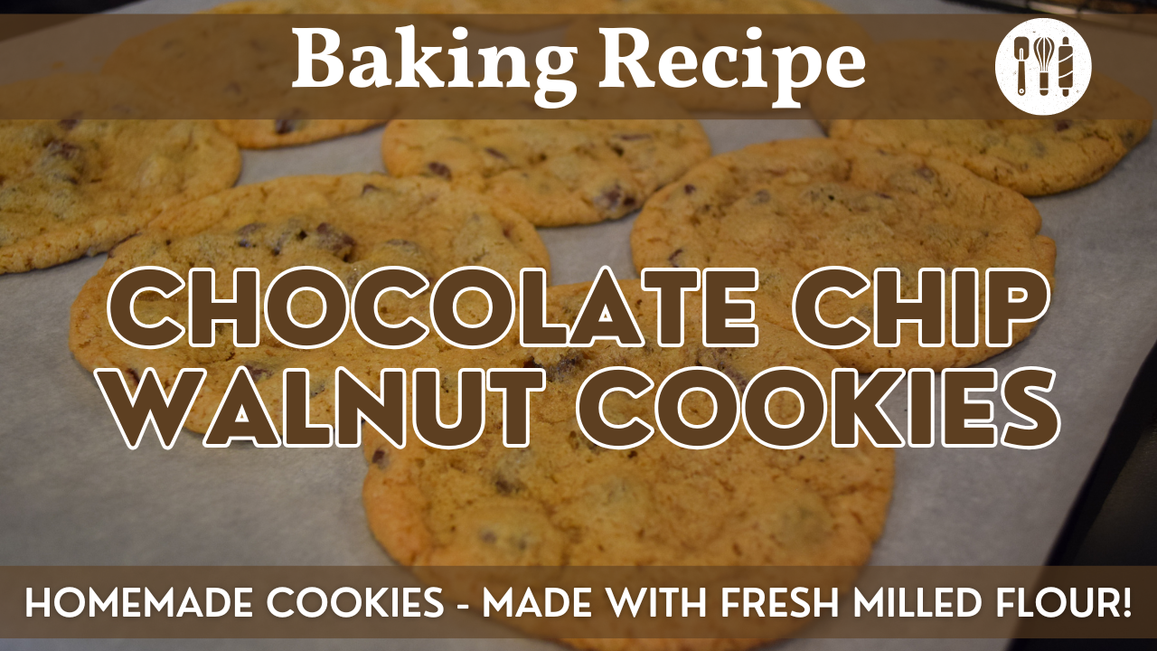 Chocolate Chip Walnut Cookies | Fresh Milled Flour Recipe | Chewy Homemade Chocolate Chip Cookie Recipe!