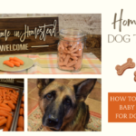 Freeze Dried Dog Treats (Baby Carrots)