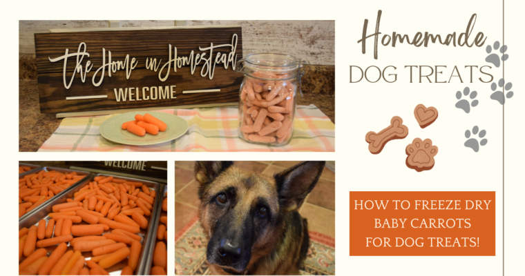 Freeze Dried Dog Treats | Harvest Right Freeze-Dried Vegetables | How to Freeze Dry Baby Carrots