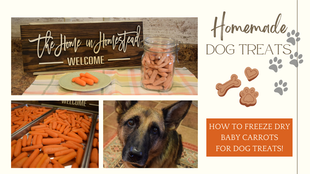 Freeze Dried Dog Treats | Harvest Right Freeze-Dried Vegetables | How to Freeze Dry Baby Carrots