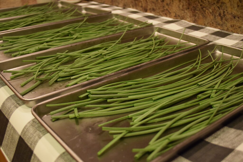 Fresh Chives to be Freeze Dried in the Harvest Right Freeze Dryer