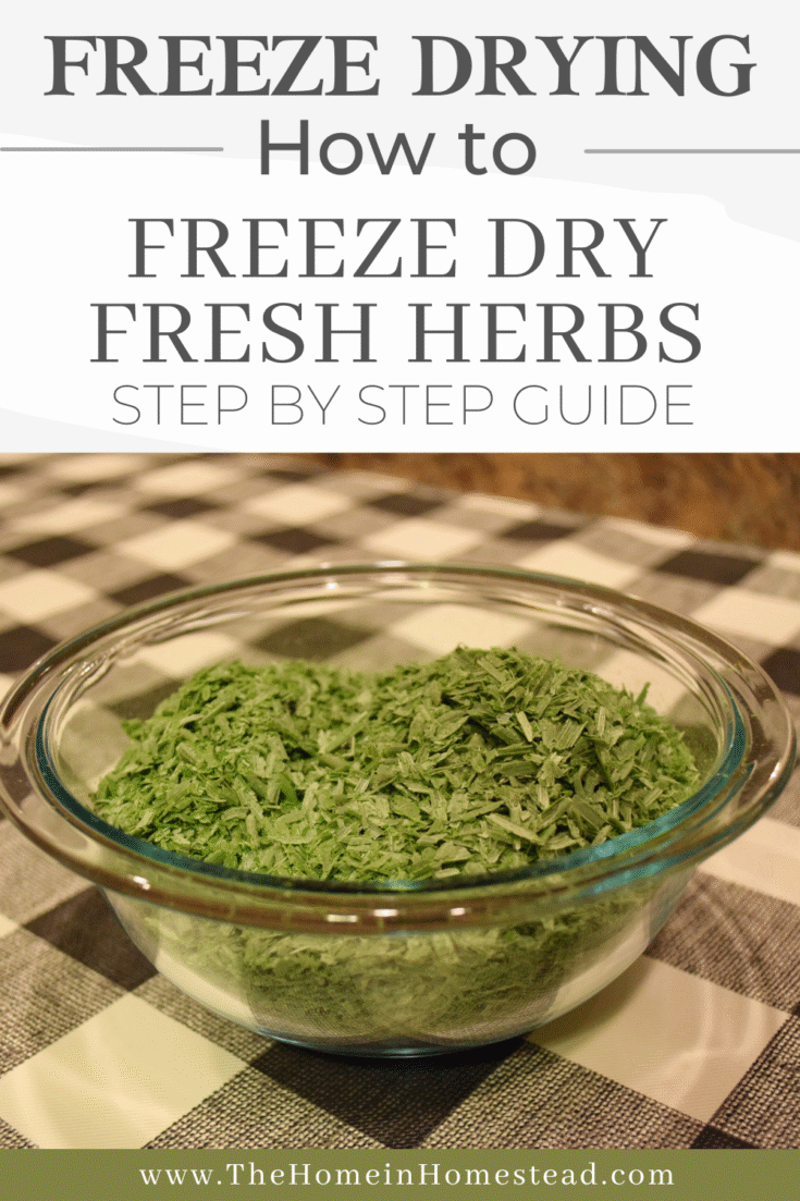 Freeze Dried Chives in the Harvest Right Freeze Dryer