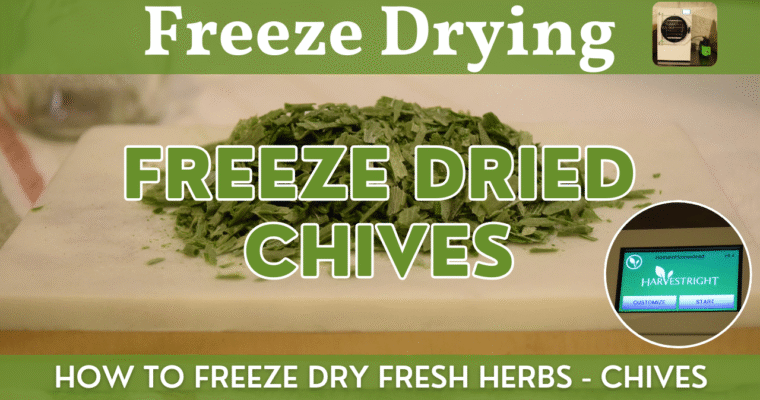 Freeze Dried Chives | How to Freeze Dry Fresh Chives Step by Step