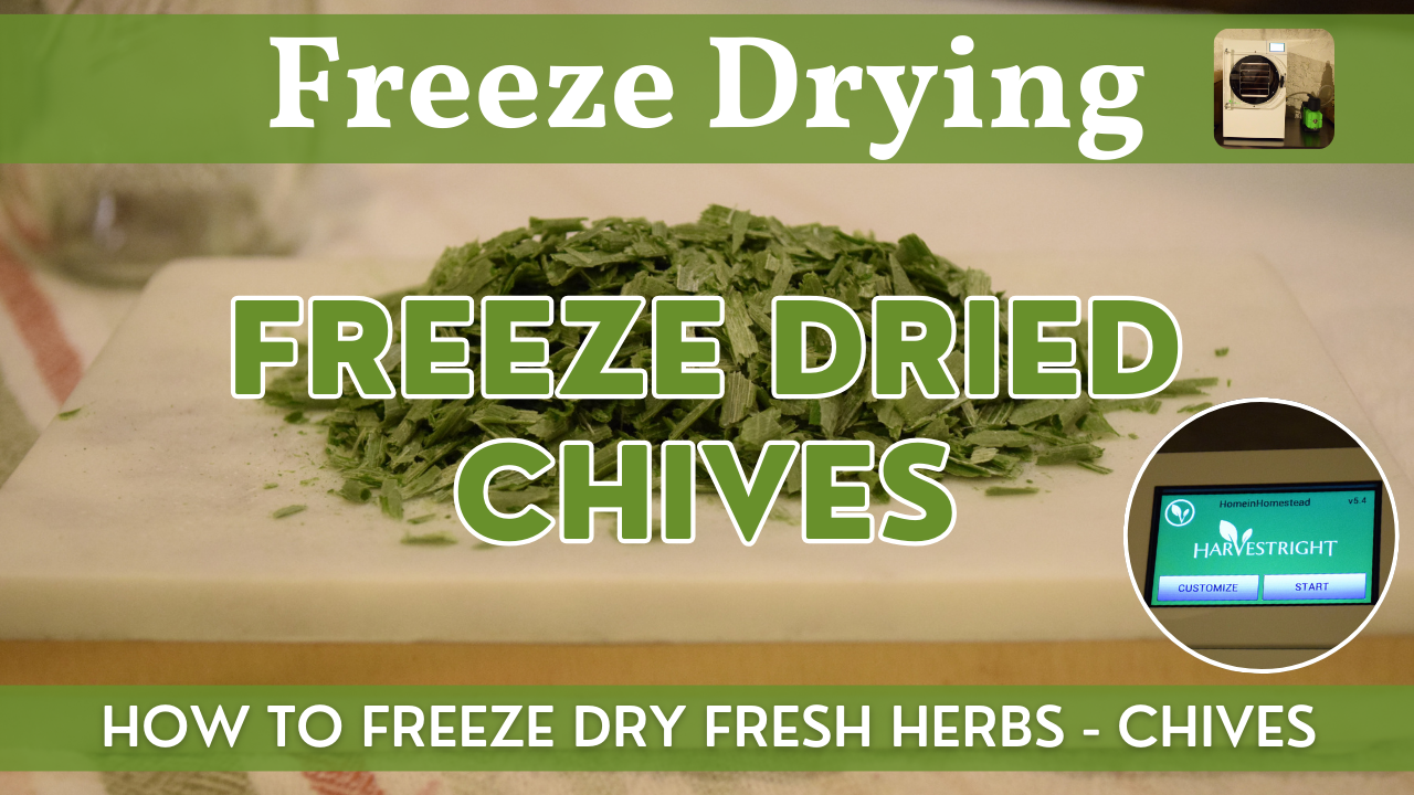 Freeze Dried Chives | How to Freeze Dry Fresh Chives Step by Step
