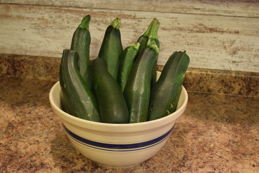 Fresh Zucchini in a Bowl