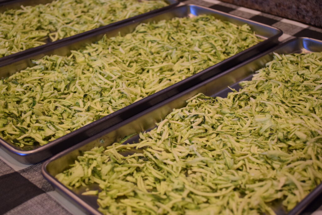 Freeze Dried Shredded Zucchini