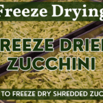 Freeze Dried Shredded Zucchini - How to Freeze Dry Zucchini Step by Step