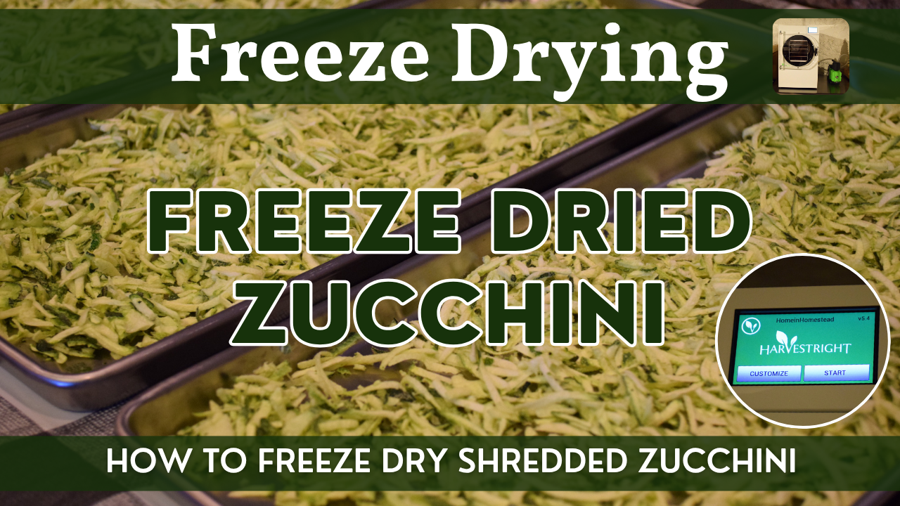 Freeze Dried Shredded Zucchini | Harvest Right Freeze-Dryer | How to Freeze Dry Step by Step