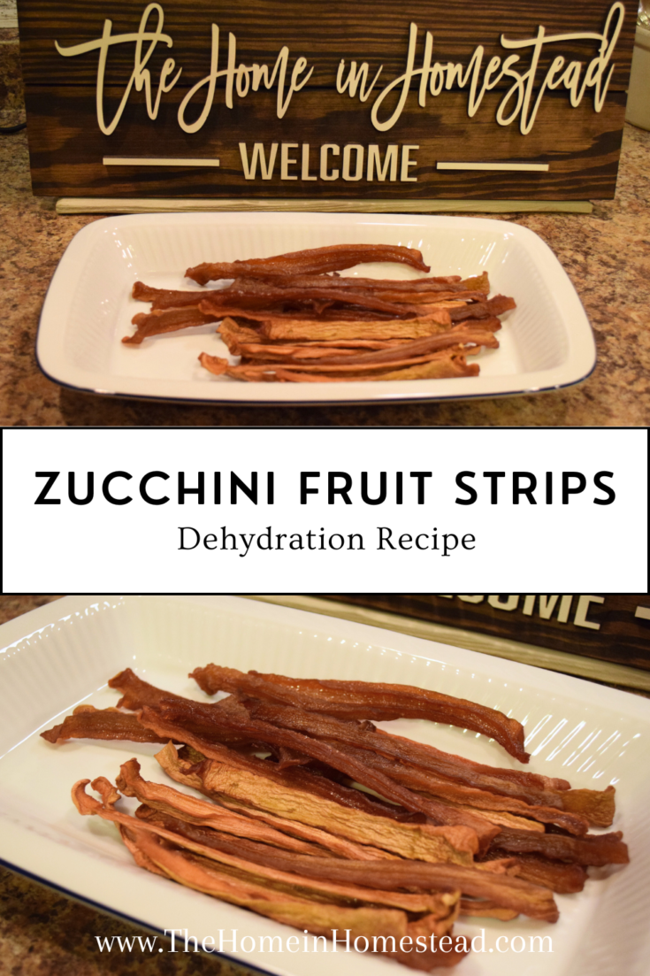 Zucchini Fruit Strips - Dehydrated Zucchini Snack that tastes like Fruit Roll Ups