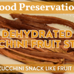 Zucchini Fruit Strips - Dehydrated Zucchini Snack that tastes like Fruit Roll Ups