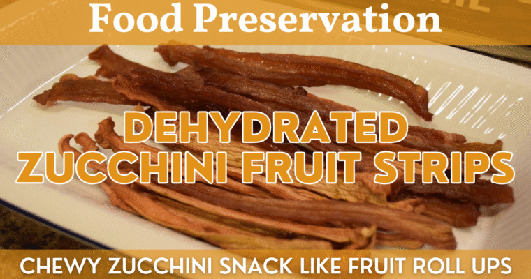Zucchini Fruit Strips | Dehydrated Snack Recipe | Chewy Treat Like a Fruit Roll Up Using Zucchini!