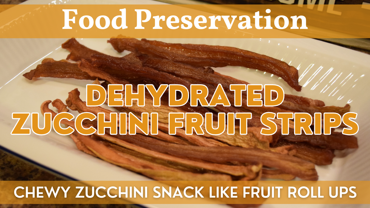Zucchini Fruit Strips | Dehydrated Snack Recipe | Chewy Treat Like a Fruit Roll Up Using Zucchini!