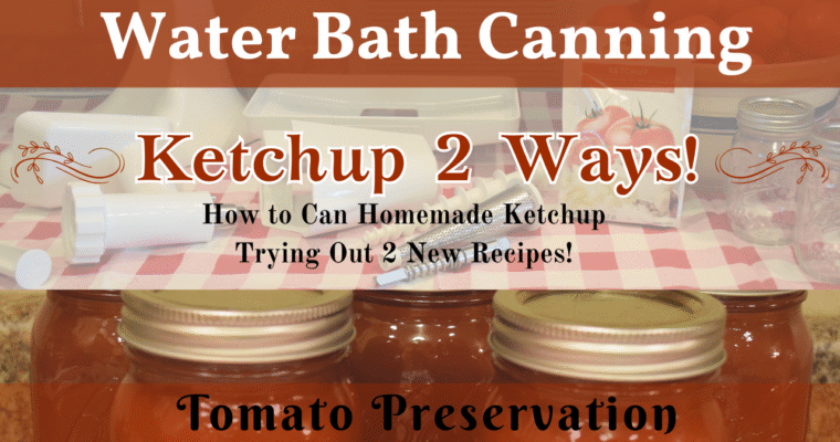 Ketchup Recipes 2 Ways! | How to Can Homemade Ketchup