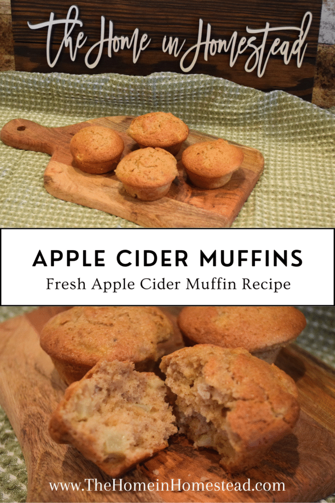 Apple Cider Muffins - Fresh Apple Cider Muffin Recipe