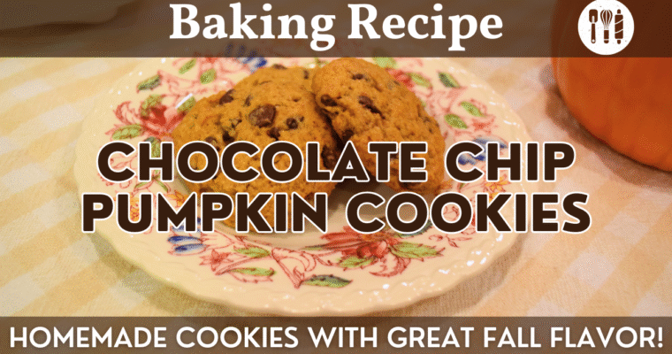 Chocolate Chip Pumpkin Cookies | Tasty Cookie Recipe with Great Fall Flavor