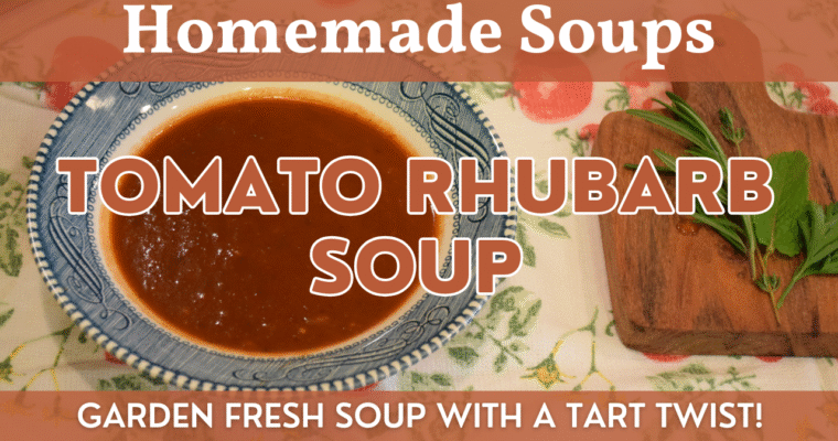 Tomato Rhubarb Soup | Garden Fresh Soup Recipe – Serve Hot, Warm or Cold (Rhubarb Gazpacho)